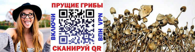 Псилоцибиновые грибы GOLDEN TEACHER  закладка  Туймазы 
